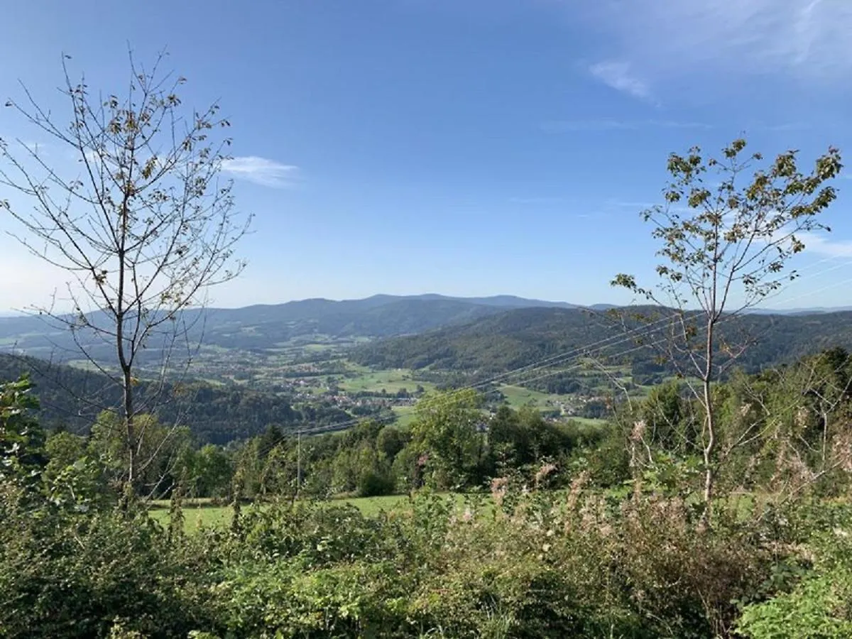 Apartamento Ferienland Sonnenwald Fewo 46 Und Studio 50 In Schoefweg Bayerischer Wald Alemania