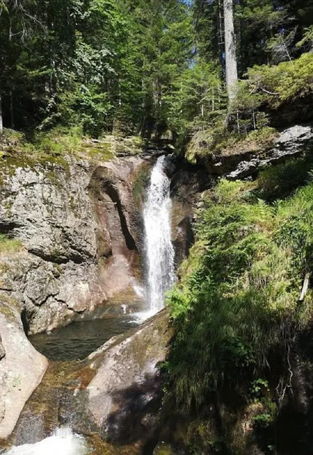 Ferienland Sonnenwald Fewo 46 Und Studio 50 In Schoefweg Bayerischer Wald Apartamento